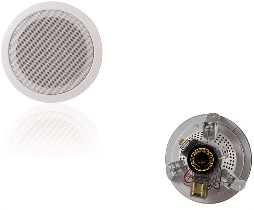 Iron HiFi Ceiling Speaker